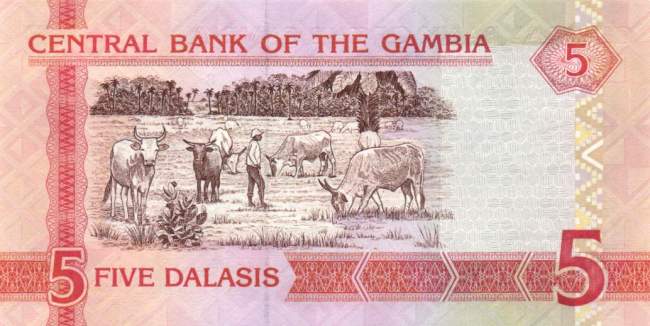 5 Dalasis 2006